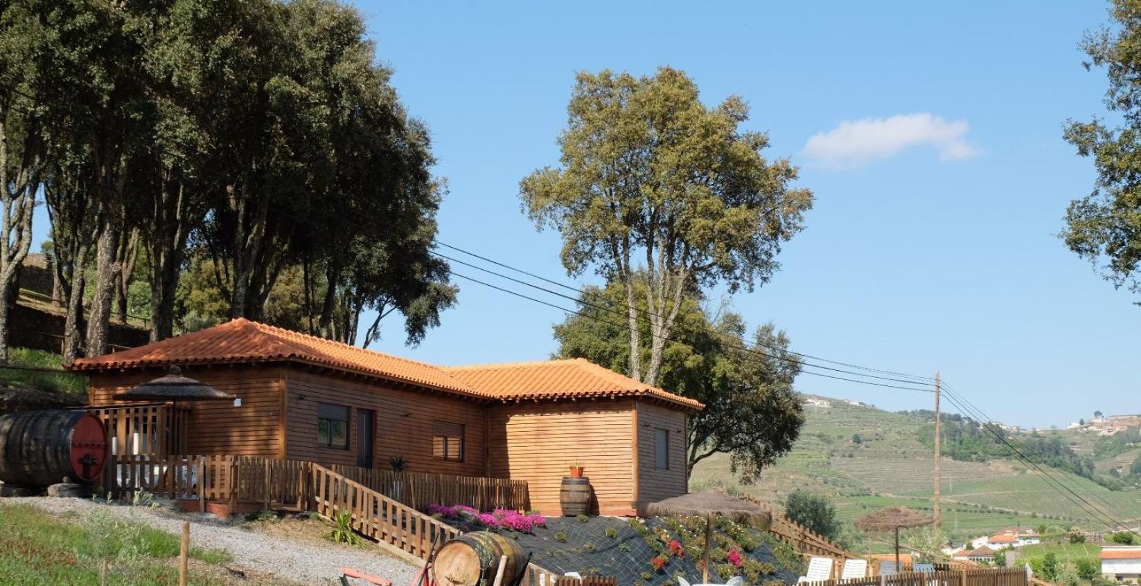 Quinta Da Bandeira - Casa De Ferias No Douro Villa Martir ภายนอก รูปภาพ